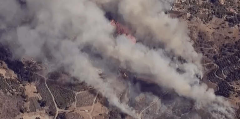 ‘garden-fire’-in-fallbrook-grows-to-at-least-48-acres;-forward-progress-stopped