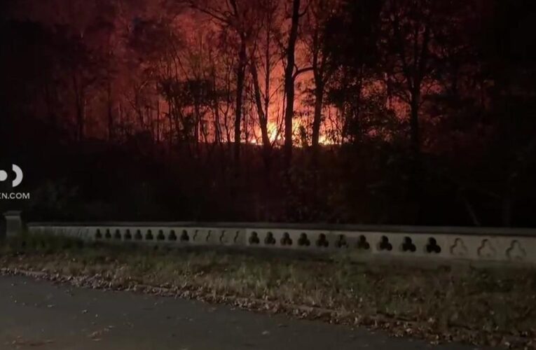 Firefighters battling brush fire in Brooklyn’s Prospect Park