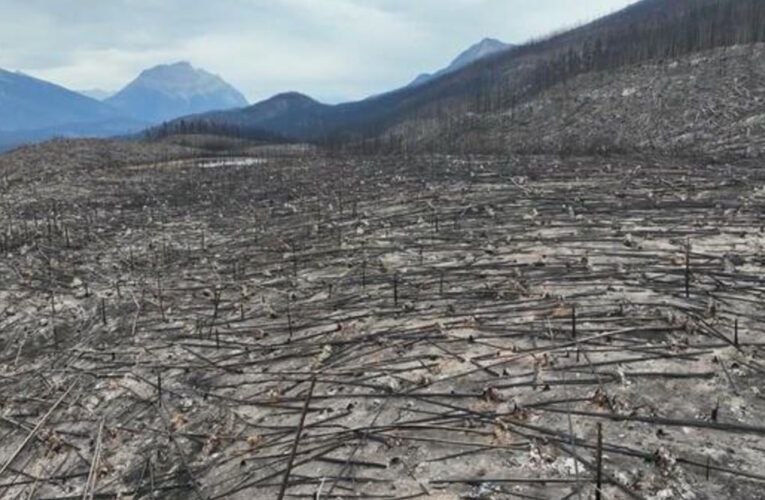 How summer wildfires tore through Canada’s Jasper National Park