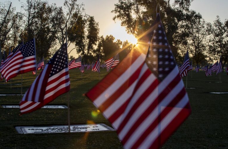 Veterans Day is Monday, most public services are closed for federal holiday