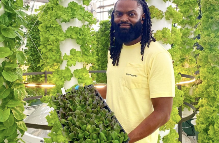 How a U.S. Army veteran went from battlefields to mushroom farming