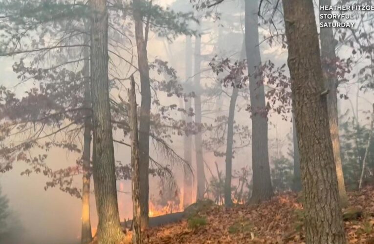 Wildfires erupt on East Coast amid record-setting drought