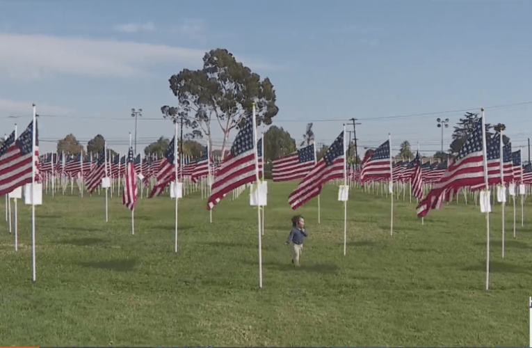 Thousands of flags fill Southern California fields for Veterans Day