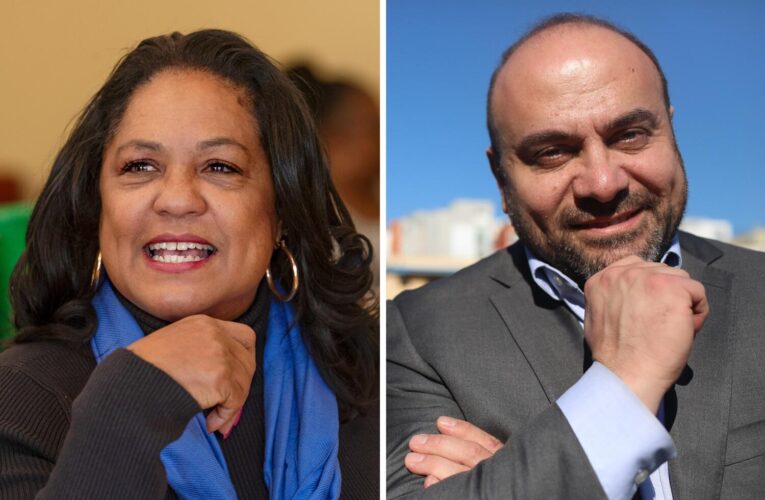 Adrin Nazarian, Heather Hutt claim victory in Los Angeles City Council races