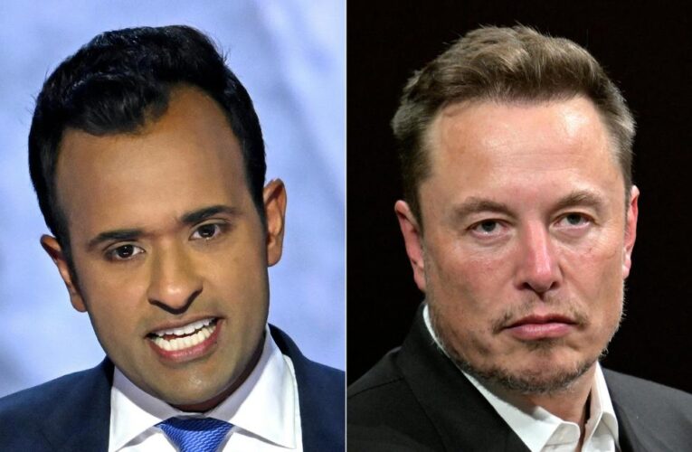 Trump says Musk, Ramaswamy to lead new Department of Government Efficiency