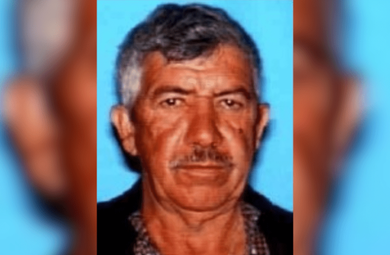 LASD still searching for man last seen in L.A. County in 2011 