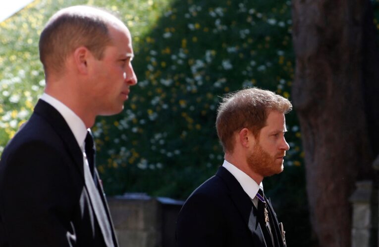 ‘Swaggery’ Prince William needs Prince Harry, not yes-men, to save the monarchy: royal expert