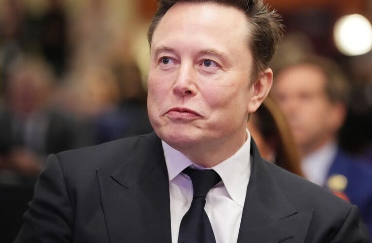 What would ‘government efficiency’ look like if Elon Musk gets his way?