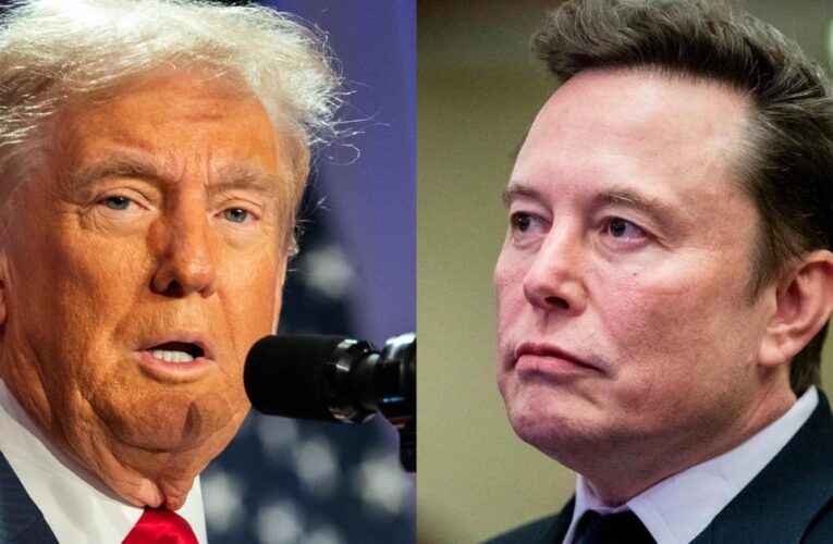 What to know about Trump’s DOGE, led by Musk and Ramaswamy