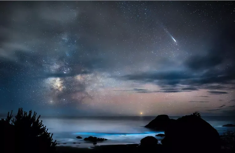 Comet C/2023 A3 and Bioluminescence