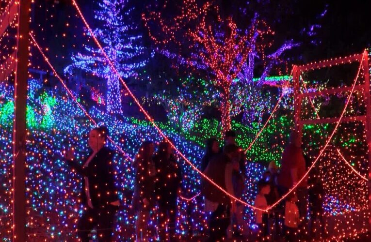 Cambria Christmas Market to feature 3 million lights this year