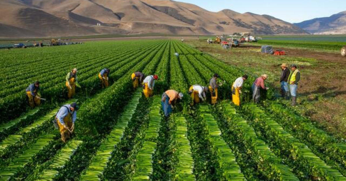 new-book-from-famed-photographer-focuses-on-the-forces-behind-the-global-food-chain