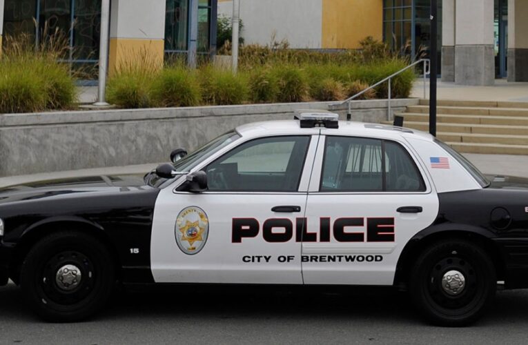 Woman mauled by Brentwood K-9 receives $1 million settlement