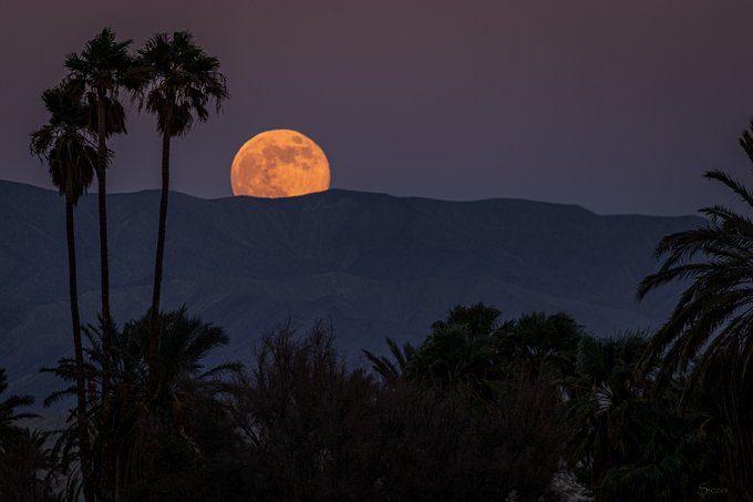 photos:-luminous-supermoon-lights-up-the-san-diego-sky