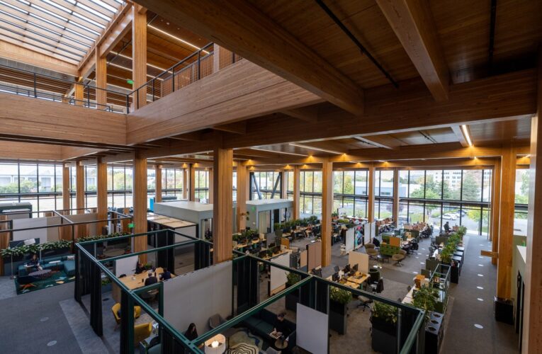 Google unveils unique and eco-friendly mass timber Sunnyvale office