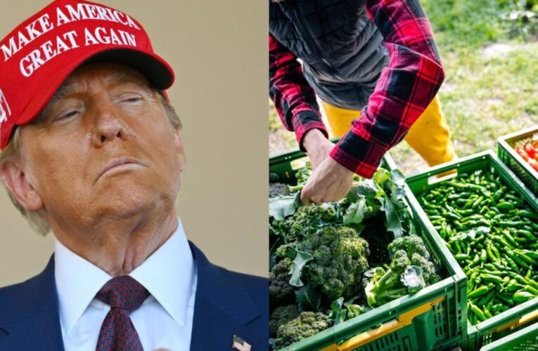 How Trump’s mass deportation plans could affect food, farming industry