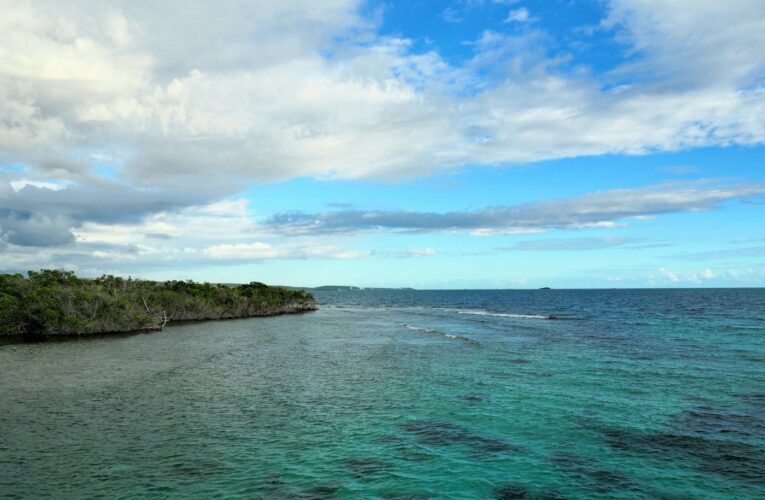 US Territory Puerto Rico And Cannabis