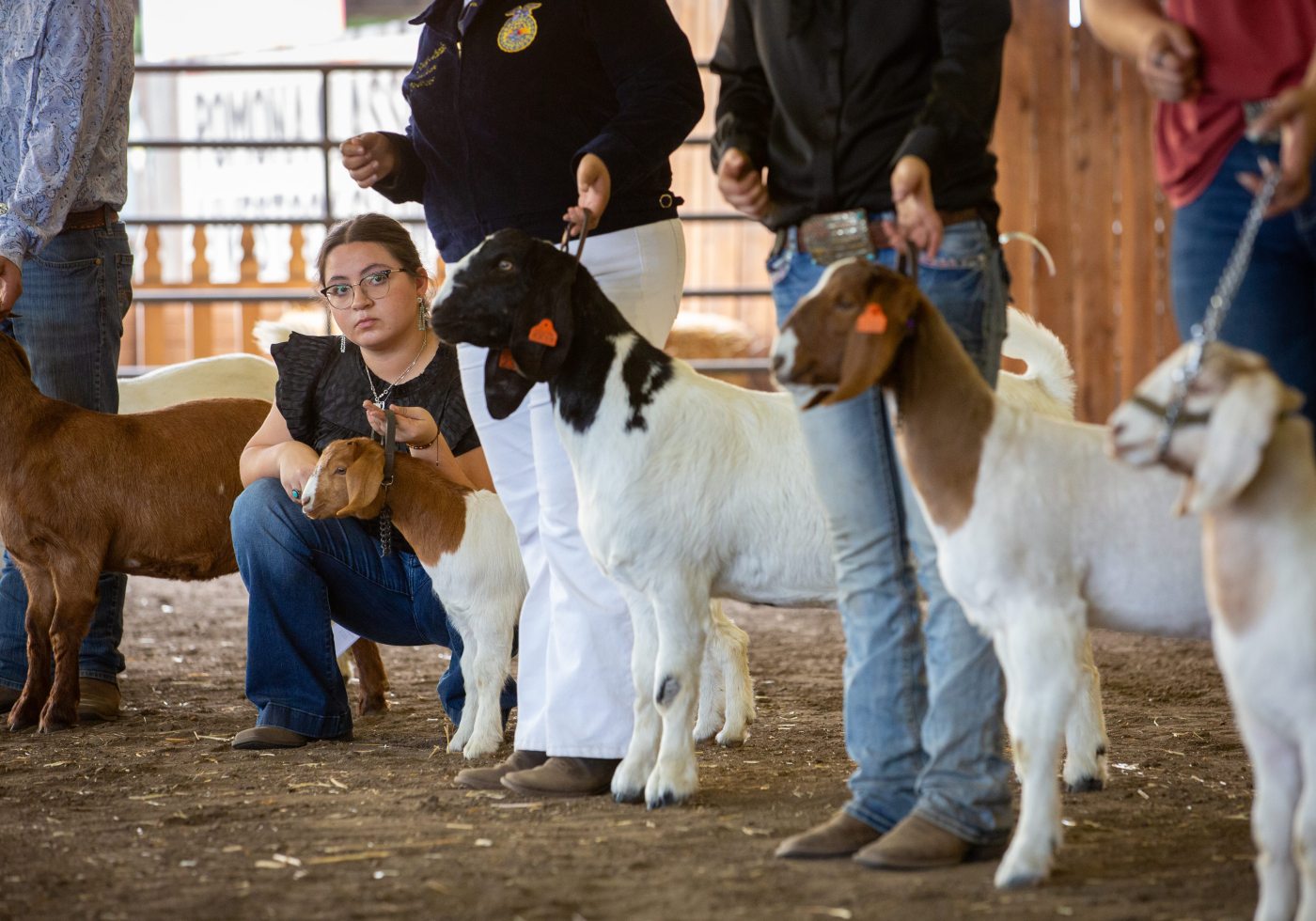 farm-animals,-fall-crafts-and-more-bring-families-out-to-fairplex-in-pomona