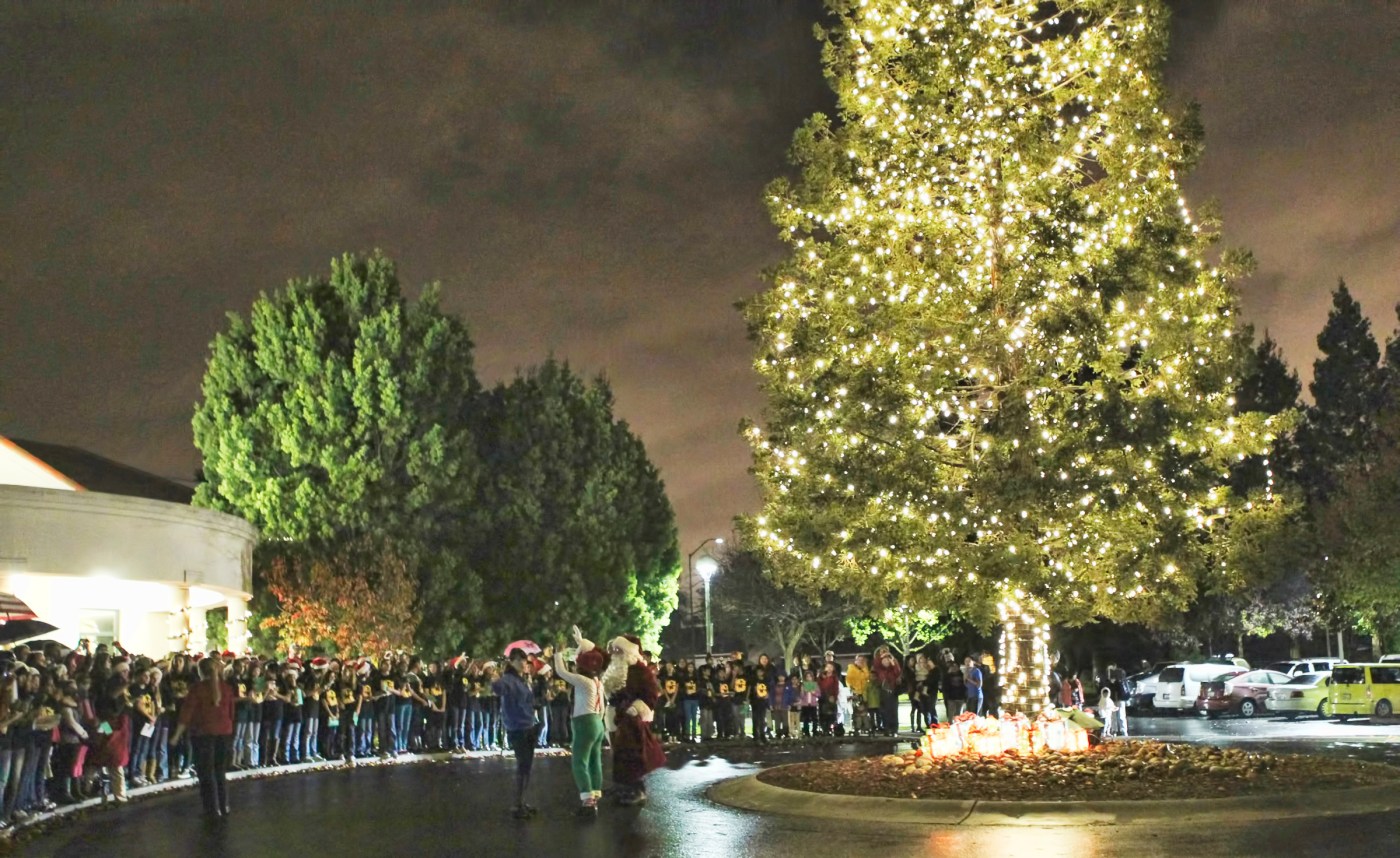 cupertino’s-community-tree-lighting-set-for-dec.-6