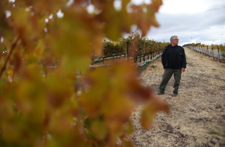 New college program seeks to reinvigorate Livermore Valley as a Bay Area winemaking hotspot