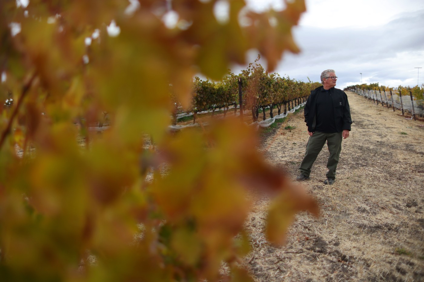 new-college-program-seeks-to-reinvigorate-livermore-valley-as-a-bay-area-winemaking-hotspot