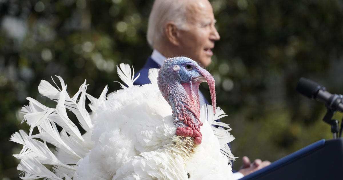 biden-to-pardon-turkeys-in-annual-white-house-tradition