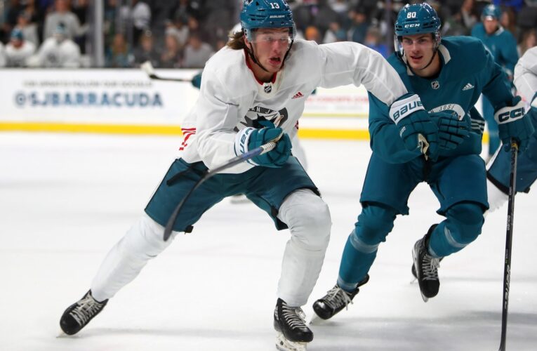 Sharks’ first-round pick reportedly breaks hand, will not play in WJC