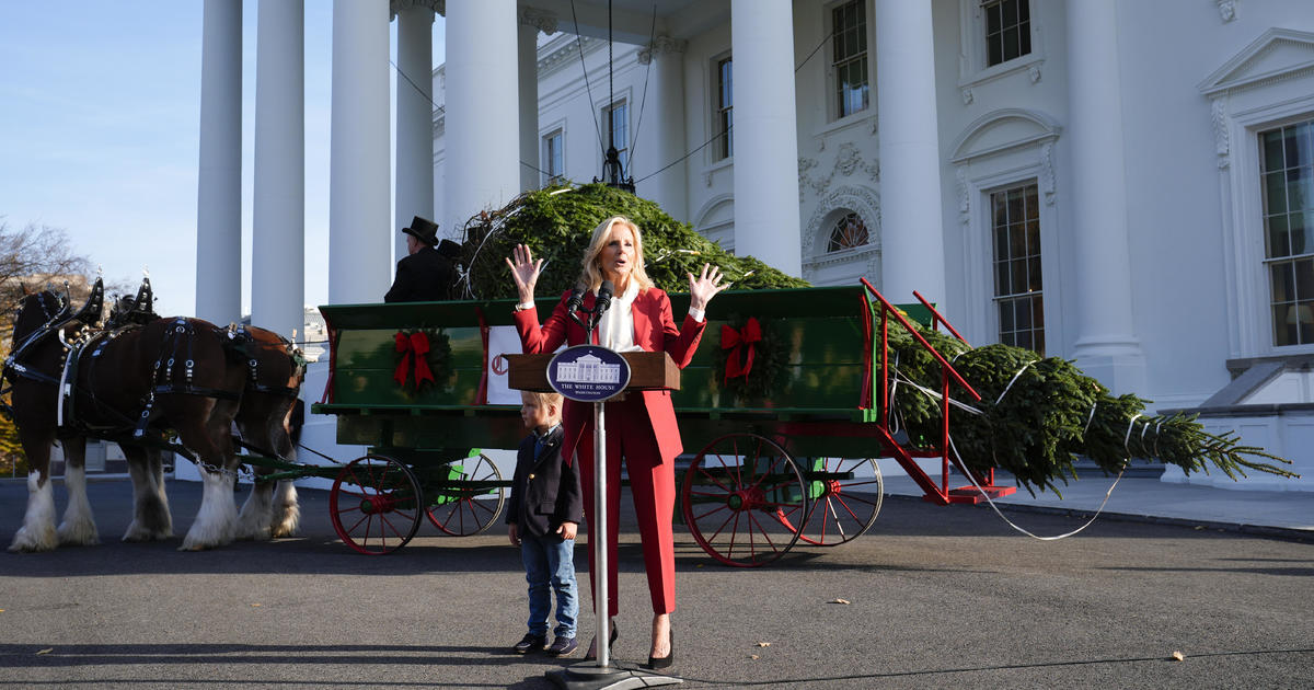 white-house-christmas-tree-came-from-helene-devastated-tree-farm