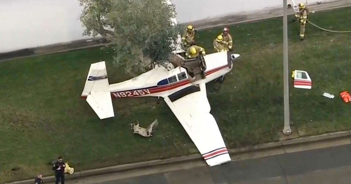 small-plane-takes-a-plunge,-crashes-into-a-tree;-2-injured