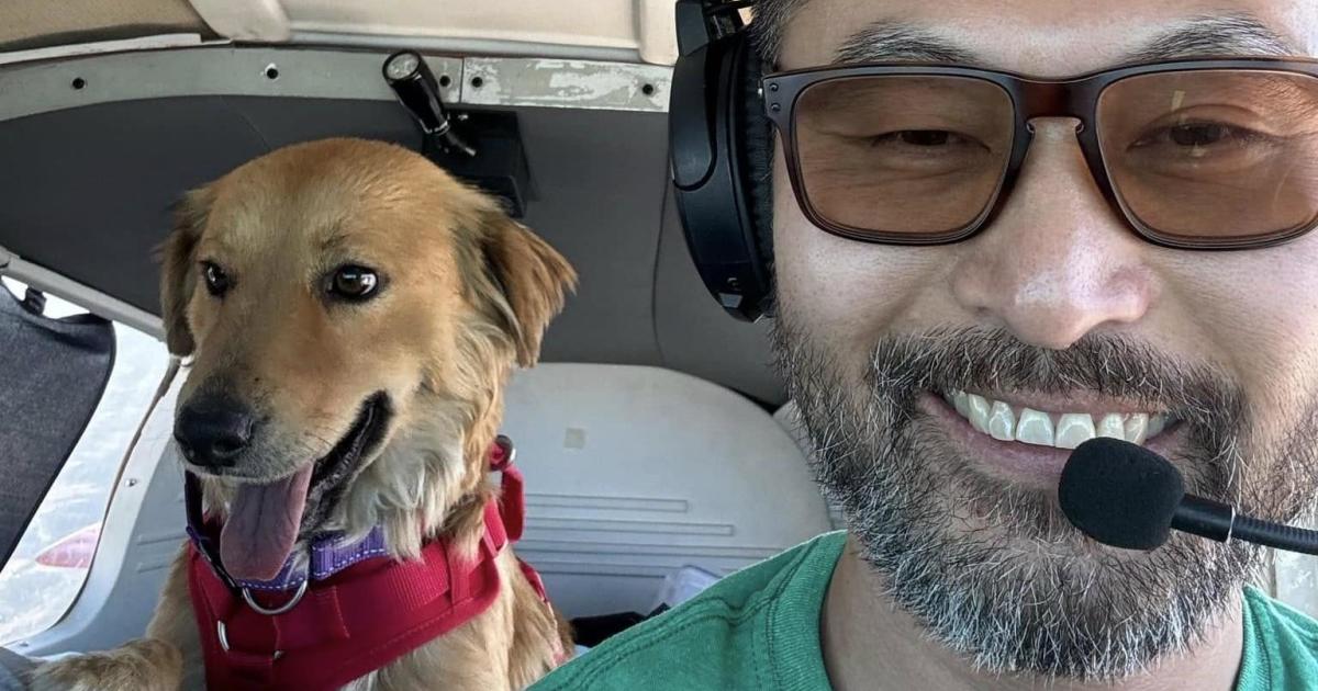 animal-rescue-pilot-and-dog-killed-in-plane-crash;-2-dogs-survive