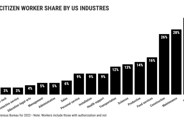 Which US industries bet big on noncitizen workers?