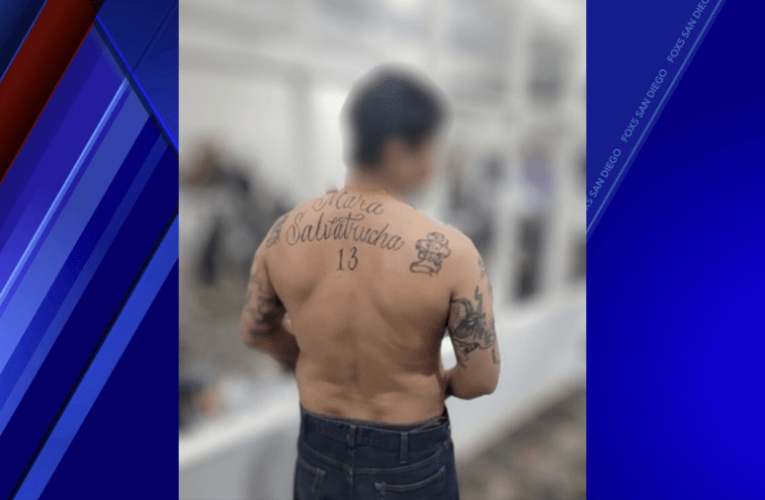 MS-13 gang member arrested at San Diego border