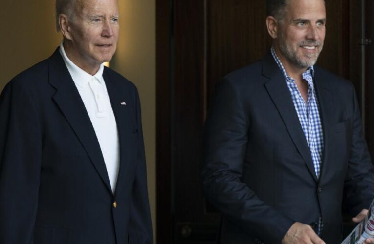 Biden claims Hunter charges were politically motivated. Here is what the facts show