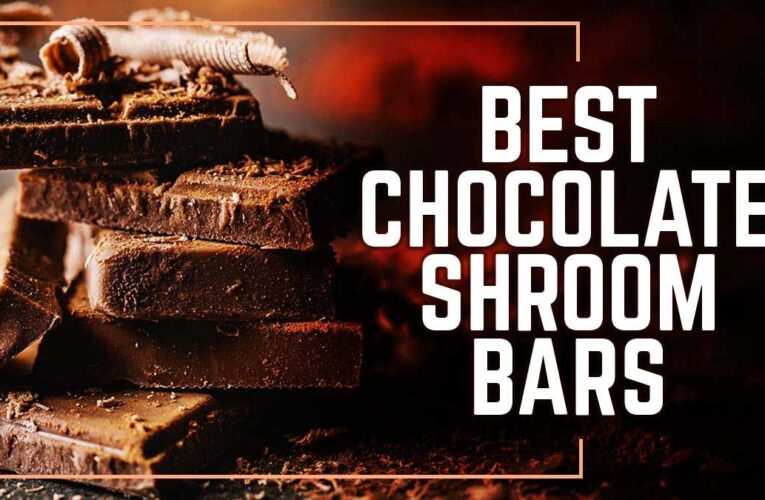 Ready to Try Chocolate Shroom Bars? Here Are the Best Mushroom Chocolate Brands