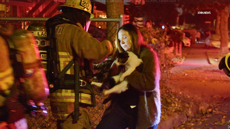 multiple-cats-rescued-from-house-fire-in-norwalk