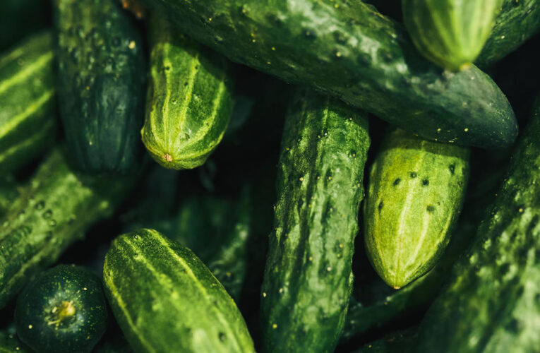 More cucumbers recalled as salmonella sickens 68 people in 19 states