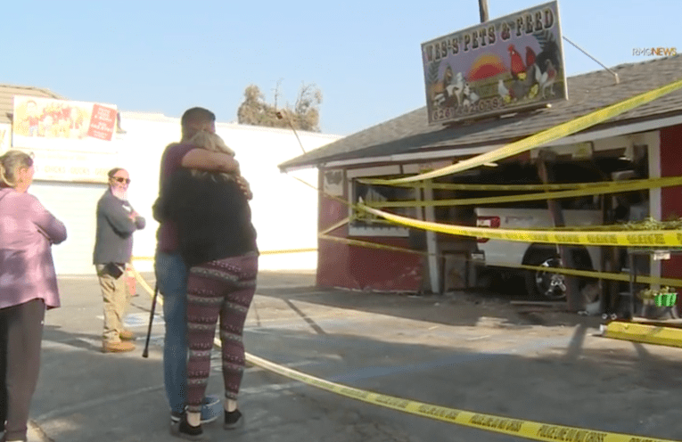 Pet shop employees in L.A. County jump for cover as truck crashes into store