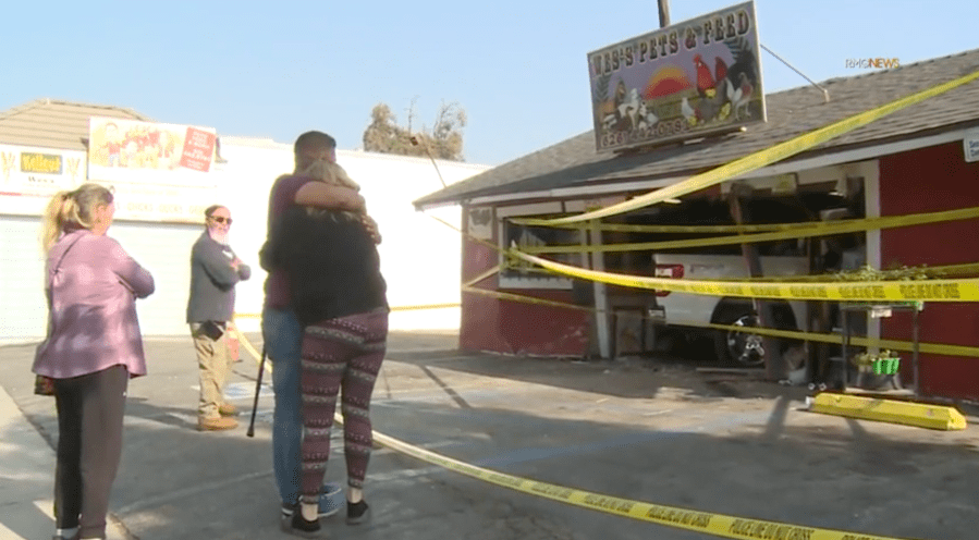 pet-shop-employees-in-la.-county-jump-for-cover-as-truck-crashes-into-store