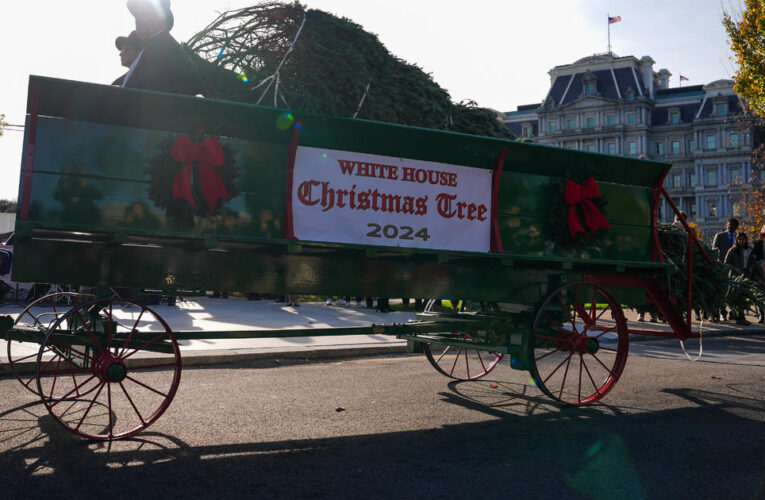 Biden to participate in final White House Christmas tree lighting of presidency