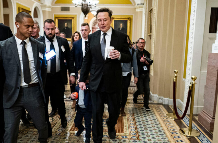 Elon Musk, Vivek Ramaswamy meet with lawmakers on DOGE plans