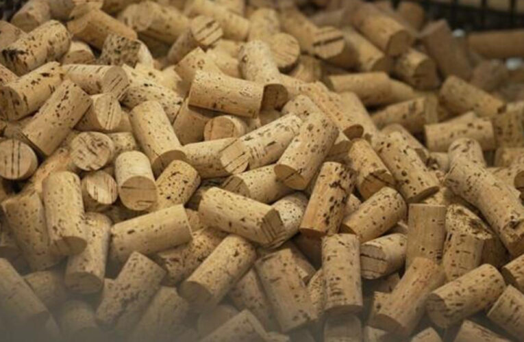 How cork — the same material used to seal wine bottles — could save the planet