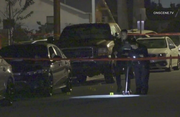 Man found shot to death in car near Disneyland 