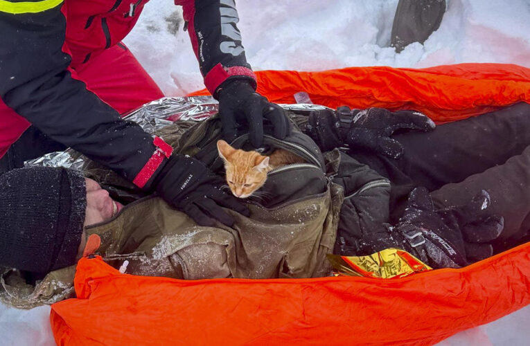 Ukrainian fleeing war with kitten found alive in frigid mountains