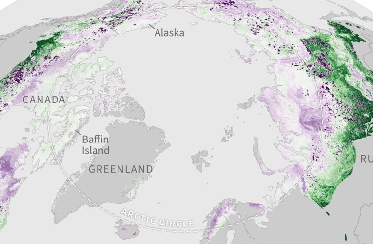 Arctic tundra becoming a source of carbon dioxide emissions, NOAA warns