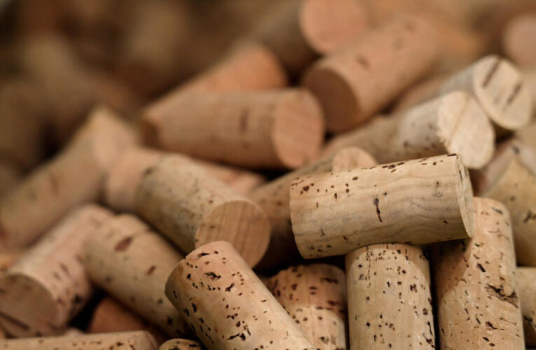 The secrets of cork: So much more than a bottle stopper