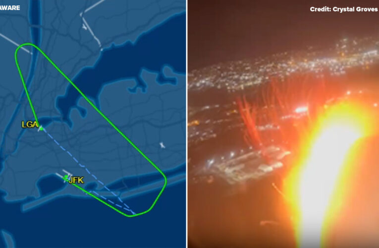 Bird strike forces plane from NYC’s LaGuardia Airport to make emergency landing