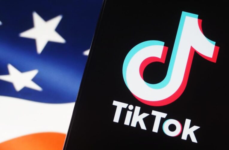 Appeals court denies TikTok’s bid to delay ban