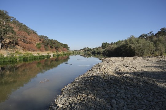 Local salmon, trout get a new home for Christmas