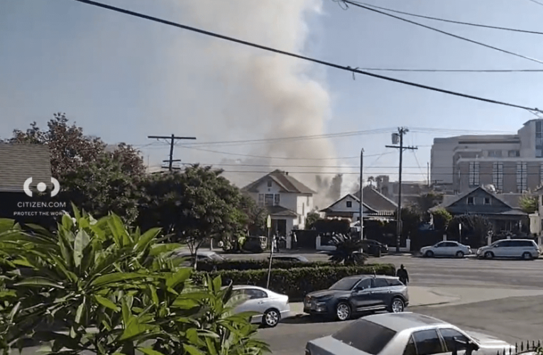 Firefighters simultaneously fight structure fire, swarm of bees in Los Angeles