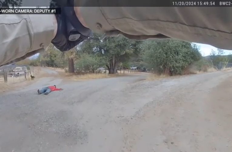 Body camera footage released of Madera County shooting that injured suspect and K9